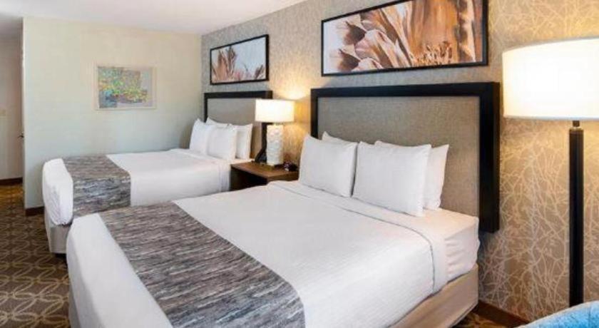 Resort Cannery Casino And 3*